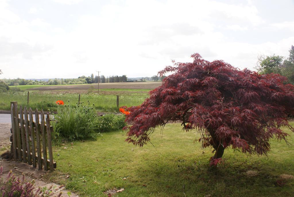 Smithy Cottage Blairgowrie and Rattray Camera foto